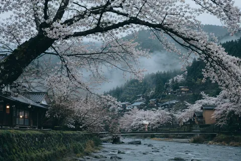 樱花树拱下的古村与河流｜AI 生成